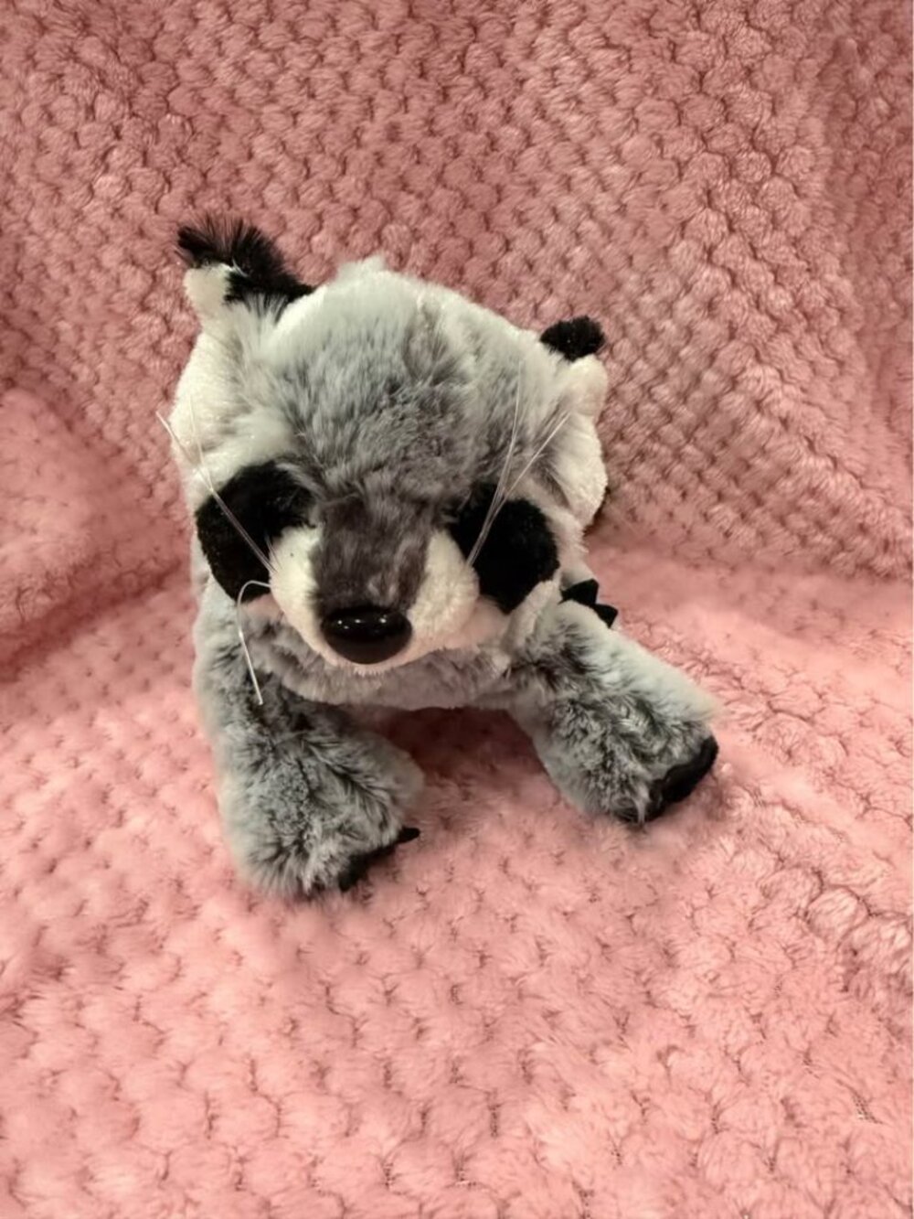Ganz Raccoon Plush